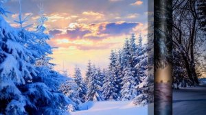 Падал снег - Сергей Чекалин