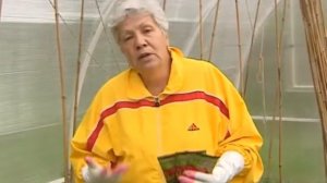 Партенокарпин БИО