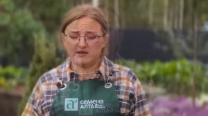 Кто такая Виктория Карелина? Правда о канале Семена Ал