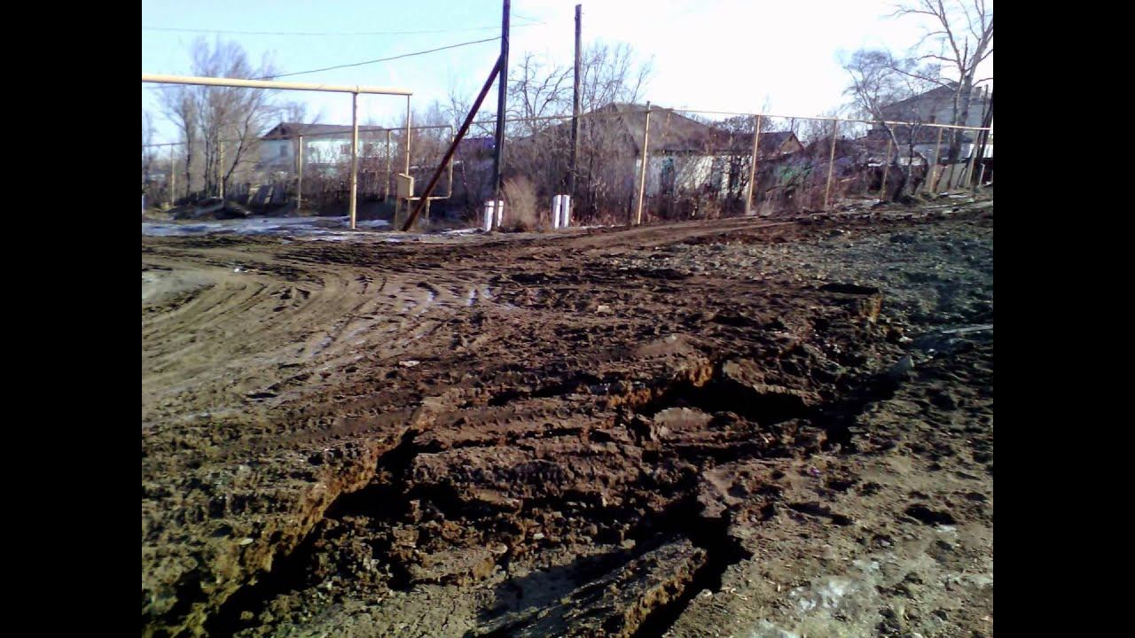 Пришла весна и вместе с ней.........!!!  Родина