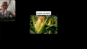 дикий огурец- откуда мем?/реакция на небуди.