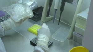 Коронавирус наступает! Число зараженных в Воронежской области постоянно растет