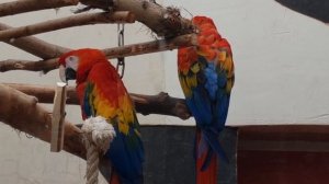 в зоопарк с детьми