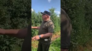 BINOM в садах: практический опыт из ЦФО