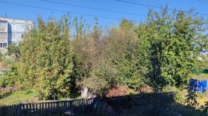 10-09-2025 осенний день в деревне