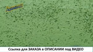 AQUAGRAZZ ЖИДКИЙ ГАЗОН КУПИТЬ САРАТОВ