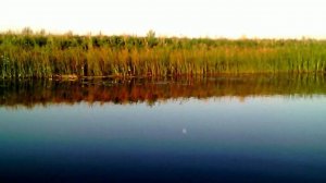 Природа, озера и реки  Казахстана