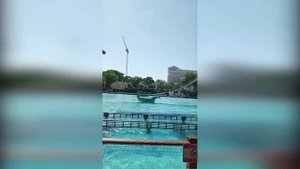 Главный приз от проекта «Верный отличник»:ученик из Заречного провёл незабываемые каникулы в Турции