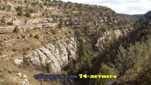 В США 74-летний мужчина с болезнью Паркинсона три дня выживал в пустыне один