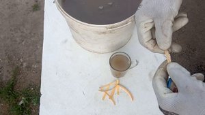 Подкормка томатов и огурцов древесной золой покажу ка
