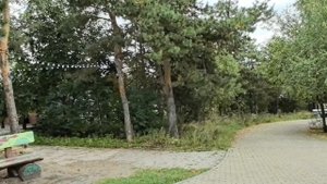 Екатеринбург 10 сентября 2025