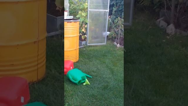 Подмосковный рай! смотреть онлайн