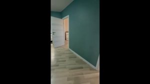 video5337049425707566397