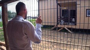 Теплый дом. Торт и пумы. BobCat ТВ. Компания Загород на нов