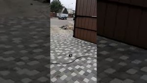 Автоматика Faac 414 на распашные ворота