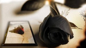 Александр Литвинов & ПарОдист - Черные Розы