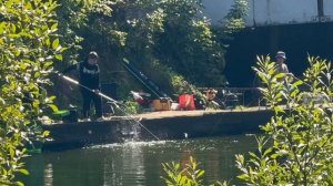 Поимка под мостом