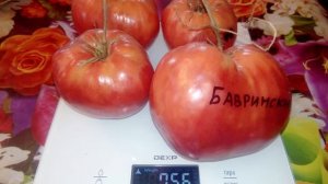Томат Бавринские