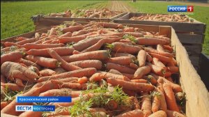 Костромские аграрии снимают первую пробу нового урожая