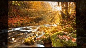 Медитативная музыка - / Chris Spheeris , Mystic Traveller /