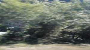 Что дано нам жизнью дорожите