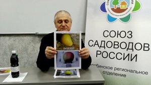 Какие сорта яблони и груши посадить на Южном Урале