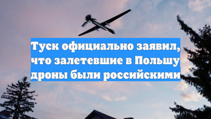 Туск официально заявил, что залетевшие в Польшу дроны были российскими