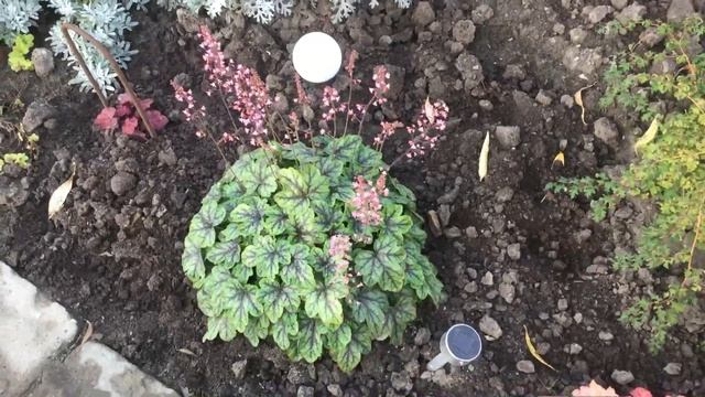 Мое 08.10.20. Декоративные фигурки для сада и проделанная смотреть онлайн