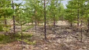 Саня и Шурик 13 серия 1 сезона