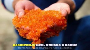 Оптовые цены на красную икру в регионе добычи снизились благодаря удачной путине