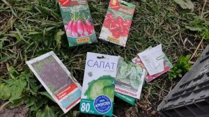 Огородные работы 5 июня посевы продолжаются! Высажива?