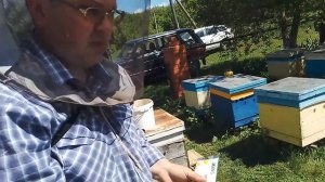 Полоски от клеща какие выбрать. Ставим Китайские поло?