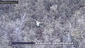 В США спасли 36-летнюю телезвезду, пропавшую в лесу