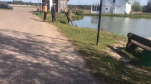 поимка на малом водоёме