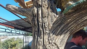 #барбекю #анапа  Мини комплекс барбекю.