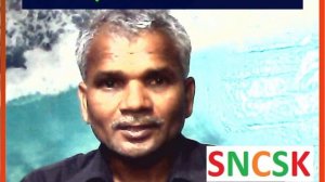 Trees And Water Level