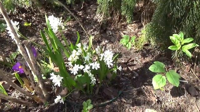 СЕКРЕТ ЛУЧШЕГО ОТДЫХА НА ДАЧЕ | Прогулка по апрельском смотреть онлайн