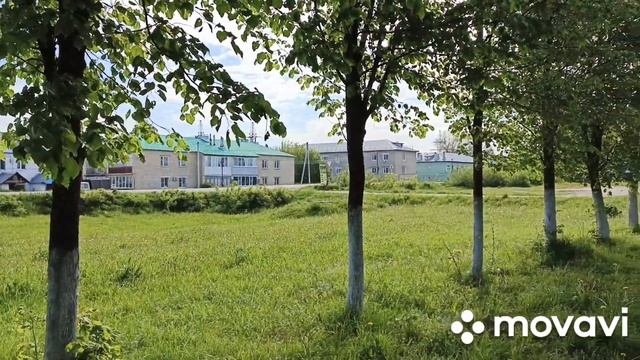 Вачская липовая аллея👍 смотреть онлайн