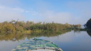 В поисках дичи