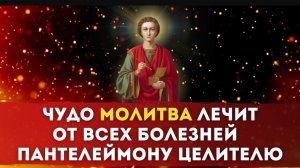 🙏ЧУДО МОЛИТВА ЛЕЧИТ ОТ ВСЕХ БОЛЕЗНЕЙ / Пантелеймону Целителю 🌹