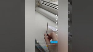 Подборка собак из рутюб.