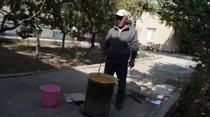 Известковосерный отвар ИСО - от вредителей растений