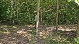 ЛЕСНОЙ ХУТОР ПОСЛЕ СТРОЙКИ: НАВОДИМ ПОРЯДОК, СОБИРАЕМ