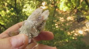 Сингенит купить