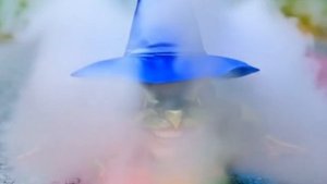 Лягушка такая лягушка