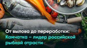 От вылова до переработки: Камчатка – лидер российской рыбной отрасти