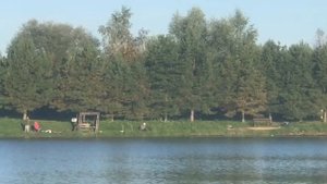 поимка карпа на большом водоёме