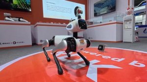 В Чунцине завершилась Всемирная выставка интеллектуальной индустрии