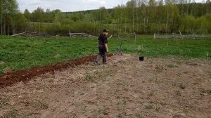 Посадка картошки под лебёдку.