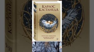 Учёные впервые зафиксировали общение через сон